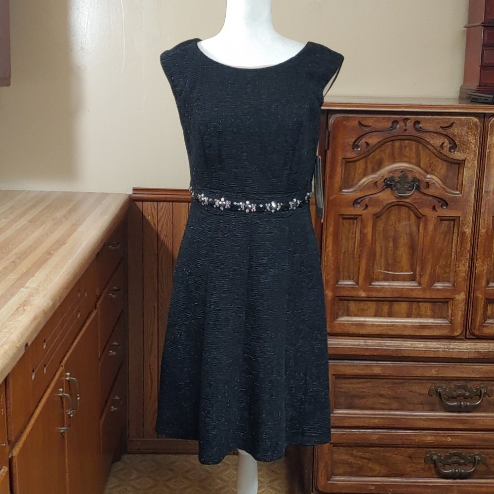 Scarlett Shimmer Black Dress 9